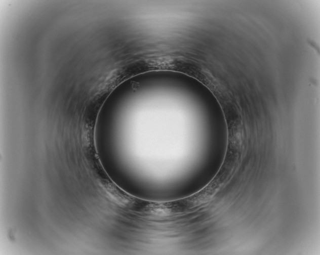 X0000094420658200711081137