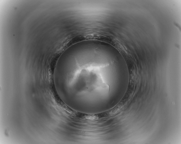 X0000094420659200711081137