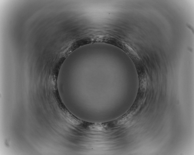 X0000094420661200711081137
