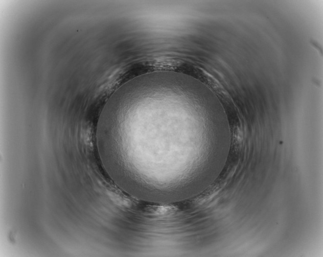 X0000094420663200711081137