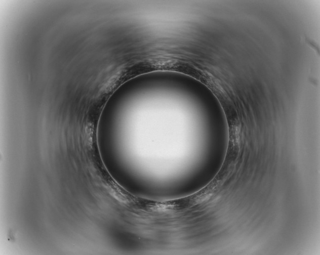 X0000094420664200711081137