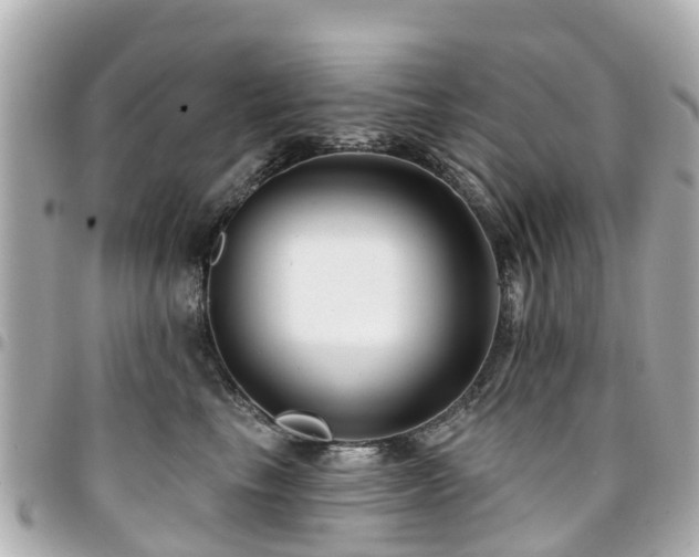 X0000094420665200711081138