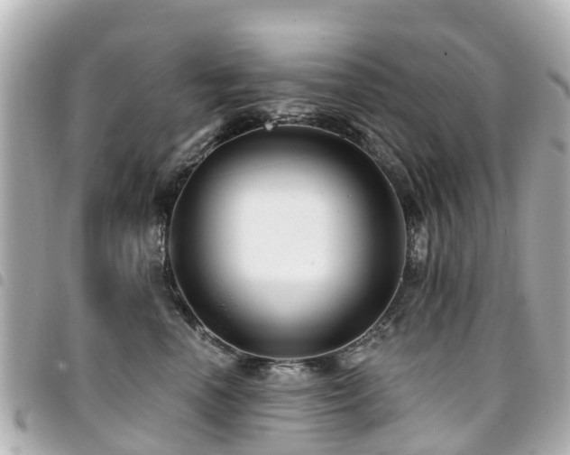 X0000094420666200711081138