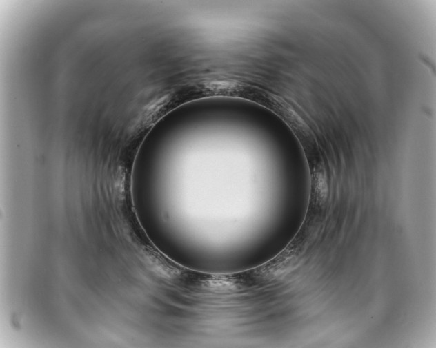 X0000094420668200711081138