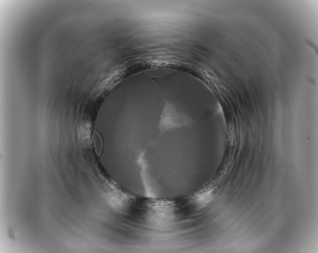 X0000094420670200711081138