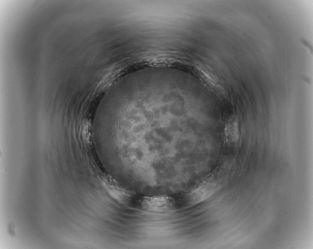 X0000094420671200711081138