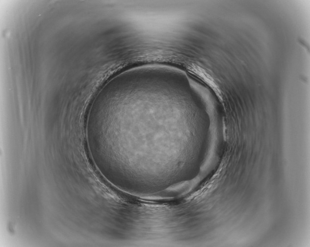 X0000094420673200711081137