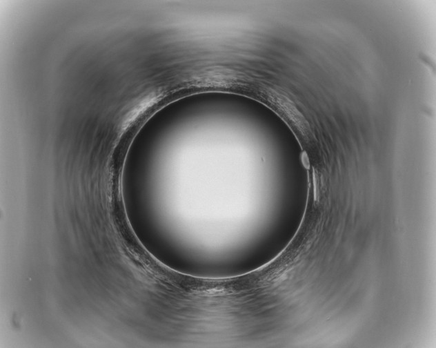 X0000094420675200711081137