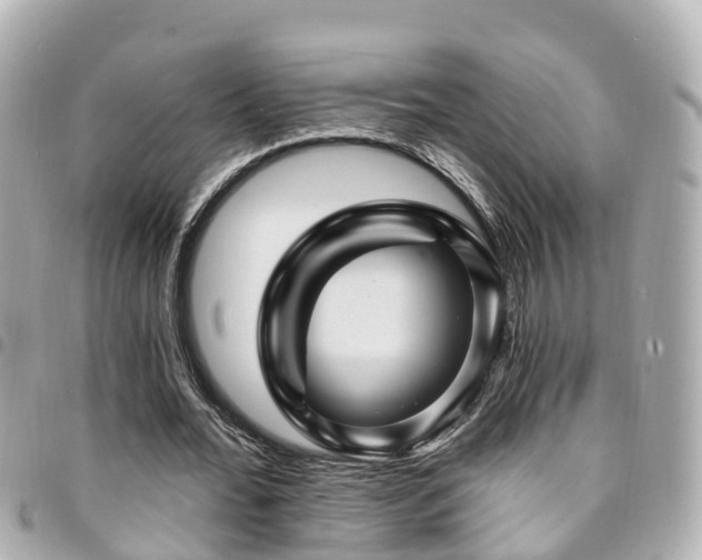 X0000094420676200711081137