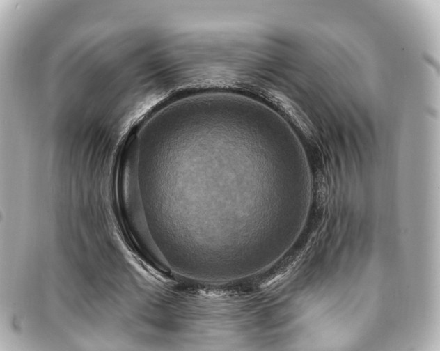 X0000094420677200711081137