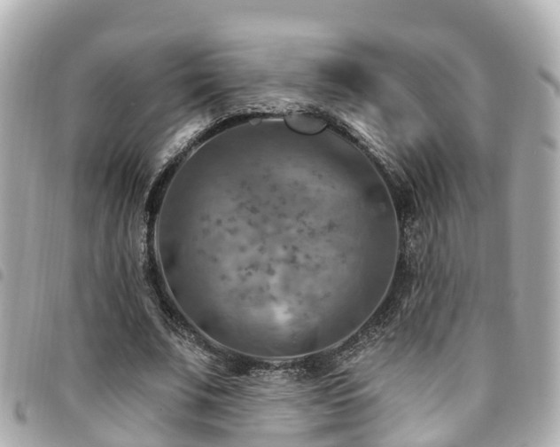 X0000094420679200711081137