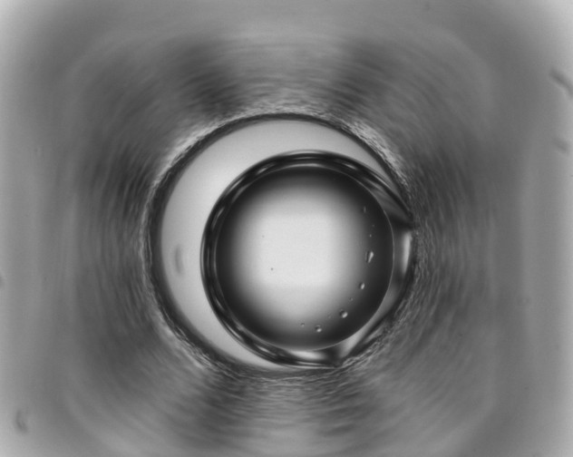 X0000094420680200711081137