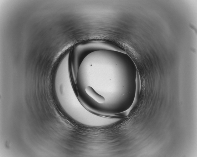 X0000094420684200711081137