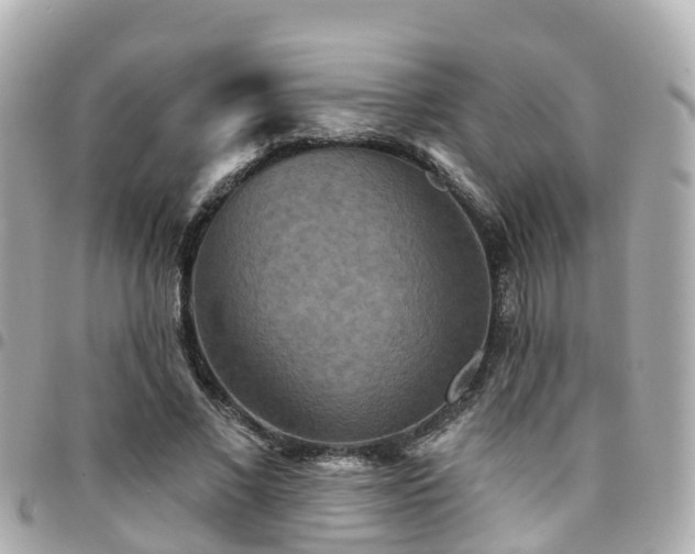 X0000094420685200711081137