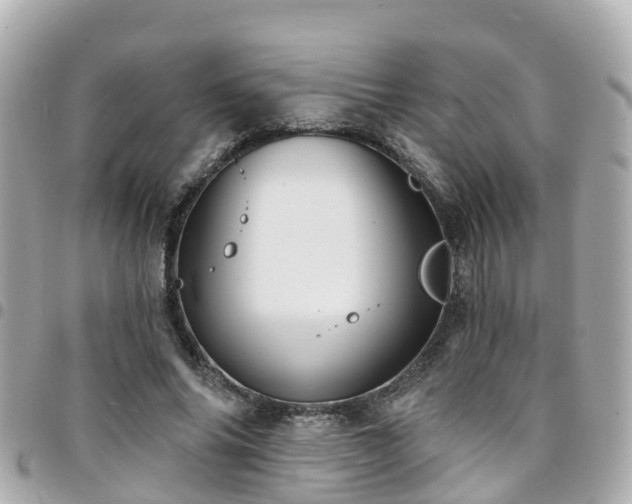 X0000094420686200711081137