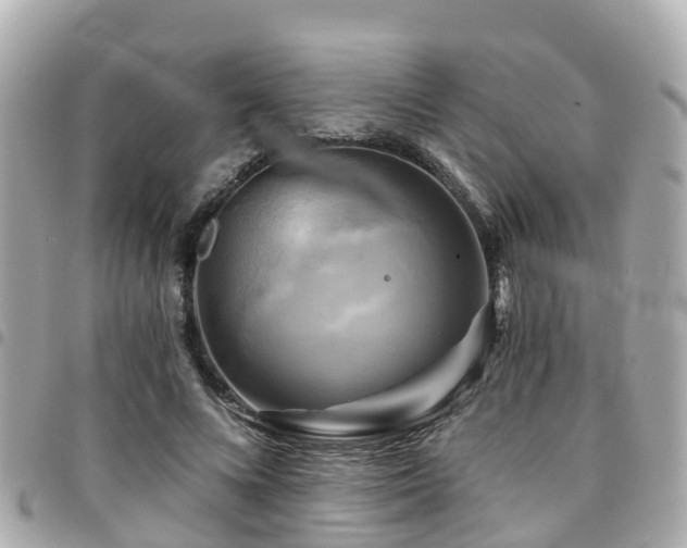 X0000094420688200711081137