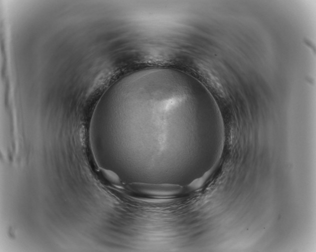 X0000094420689200711081137