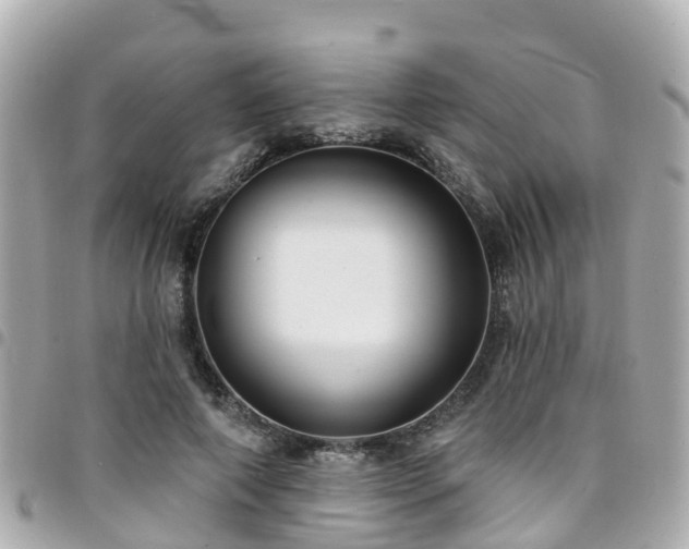 X0000094420690200711081137