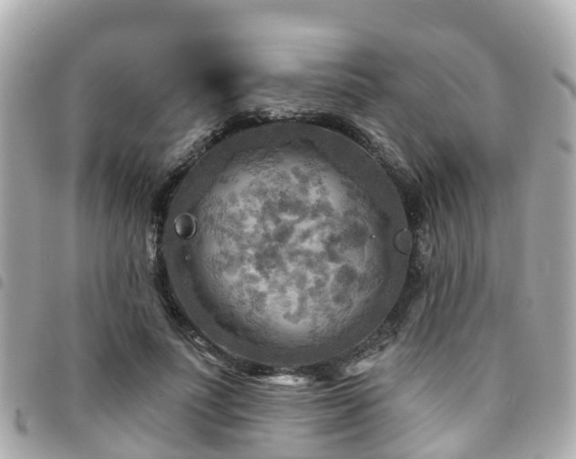 X0000094420691200711081137