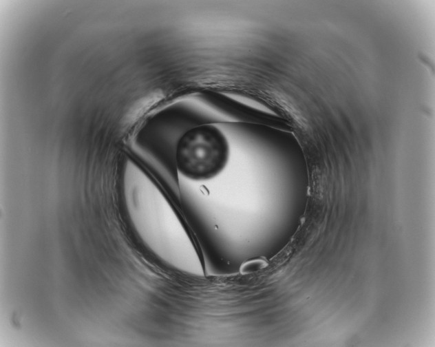 X0000094420692200711081137