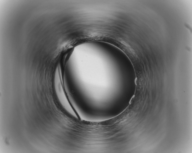 X0000094420693200711081137
