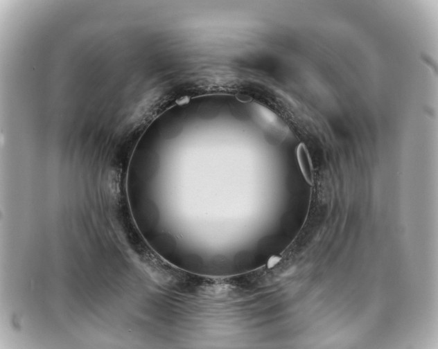 X0000094420695200711081137