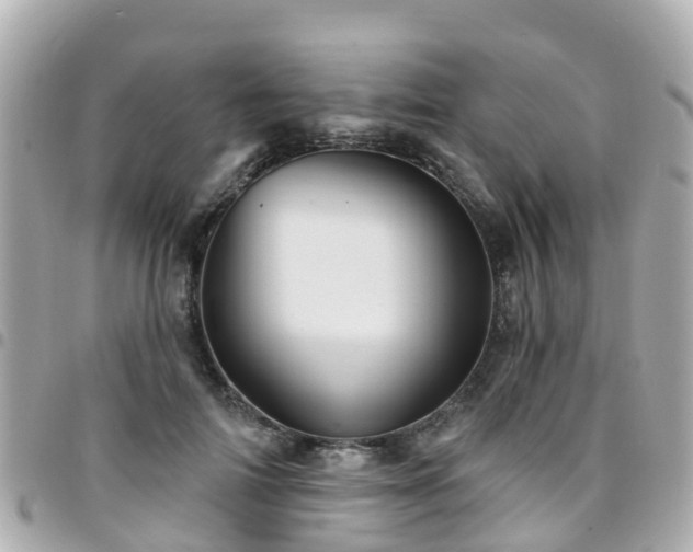 X0000094420698200711081137