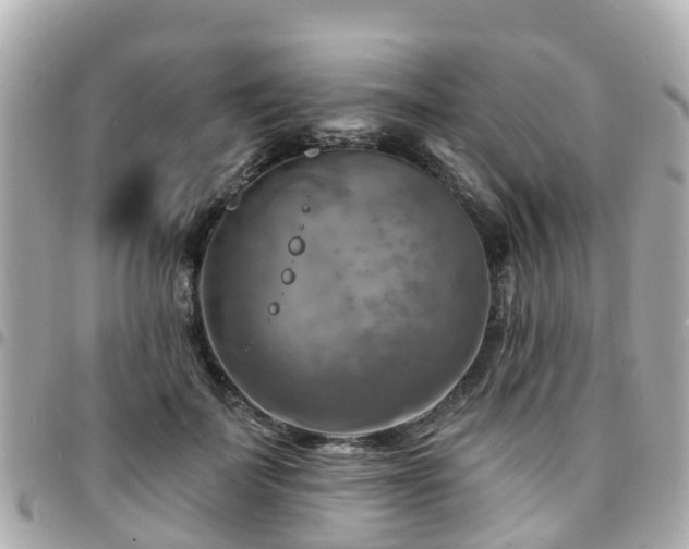 X0000094420699200711081137