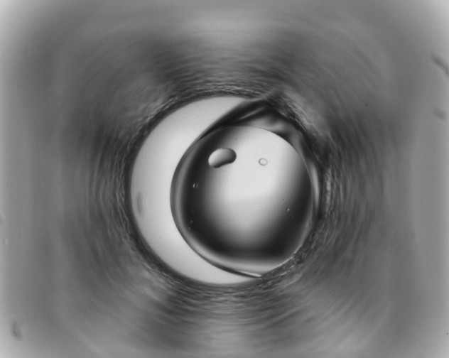 X0000094420700200711081137