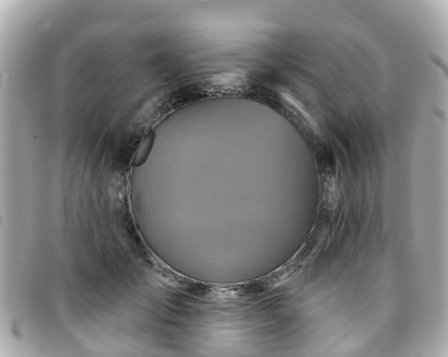 X0000094420701200711081137