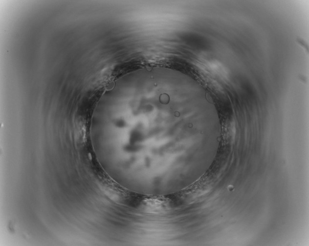 X0000094420703200711081137