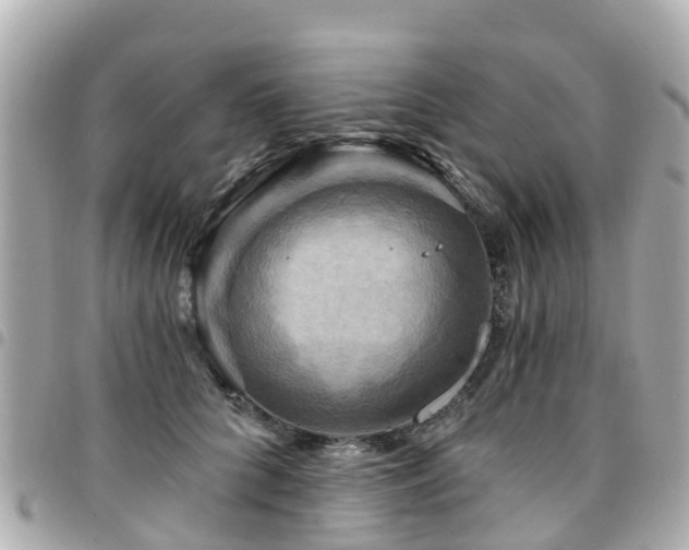 X0000094420704200711081137