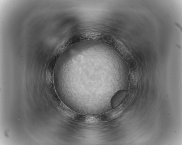 X0000094420705200711081137