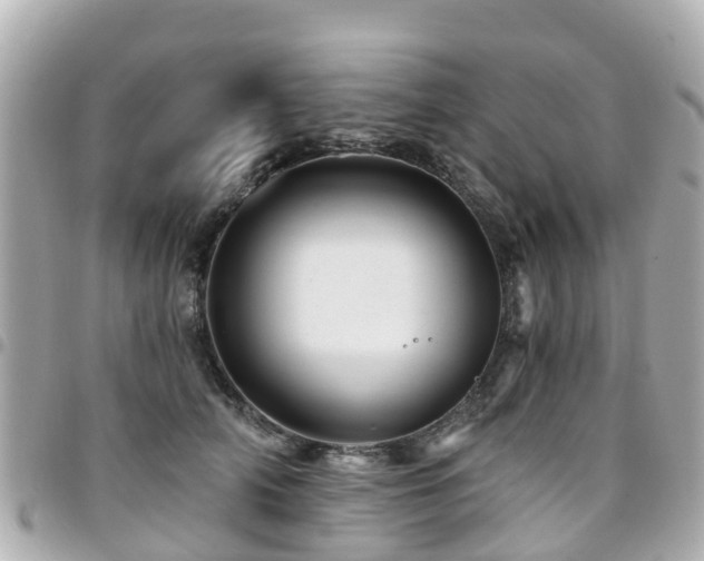 X0000094420706200711081137