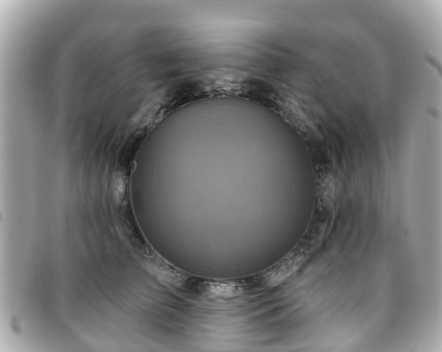 X0000094420709200711081137