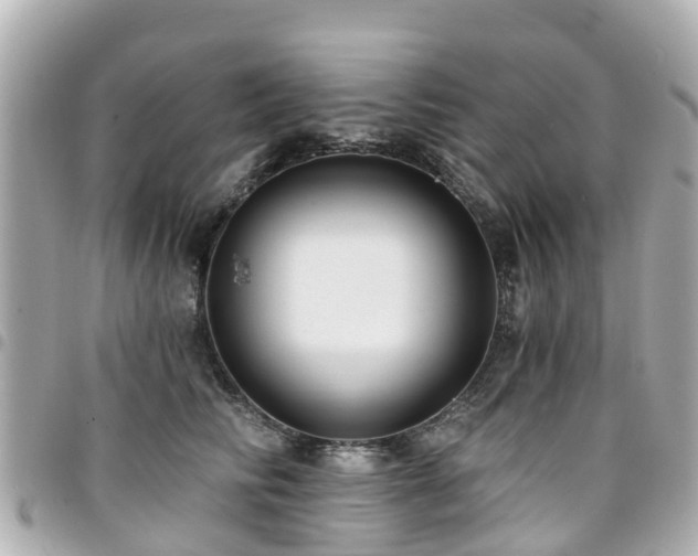 X0000094420710200711081137