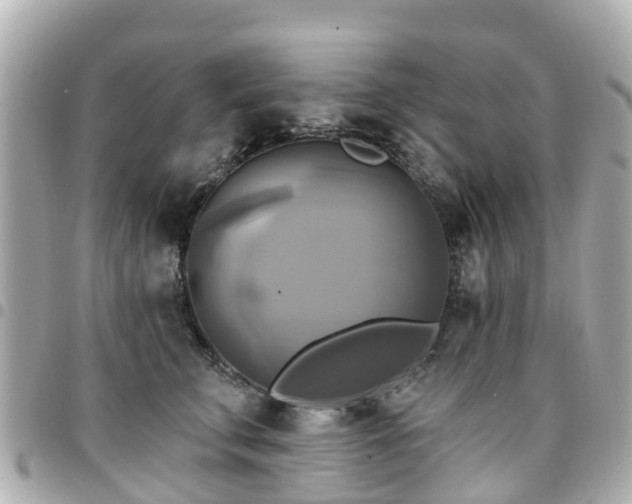 X0000094420711200711081137