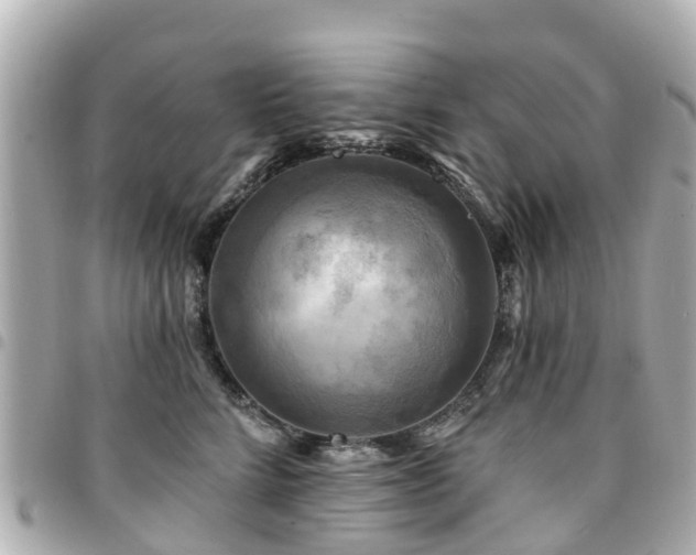 X0000094420712200711081136
