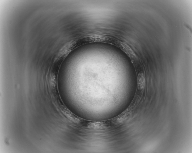X0000094420713200711081136