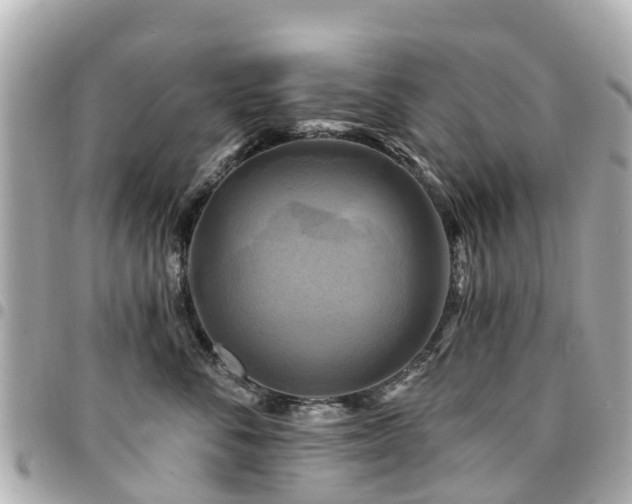 X0000094420716200711081136