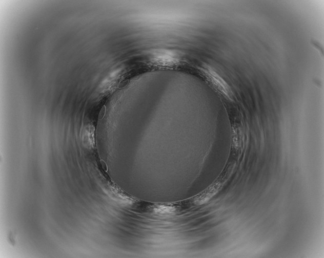 X0000094420718200711081136