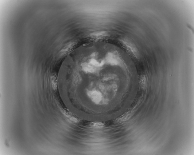 X0000094420719200711081136