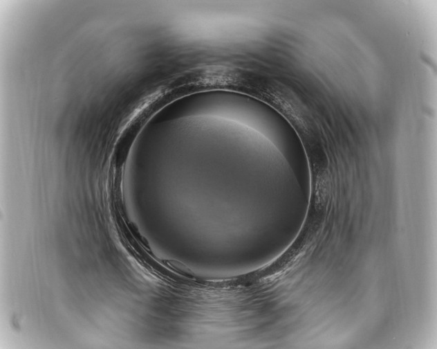 X0000094420722200711081136