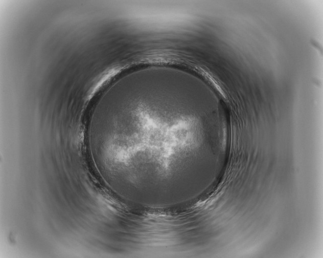 X0000094420723200711081136