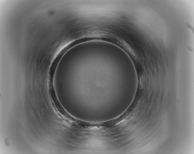 X0000094420724200711081136