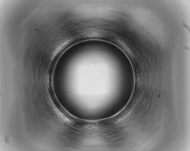 X0000094420725200711081136
