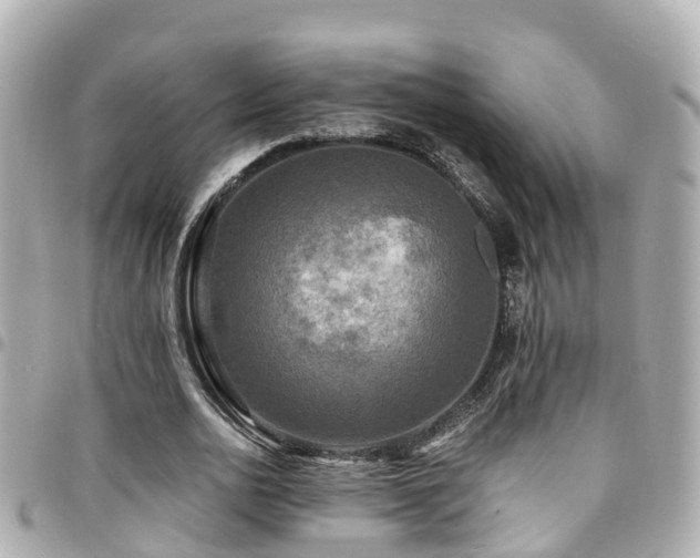 X0000094420726200711081136