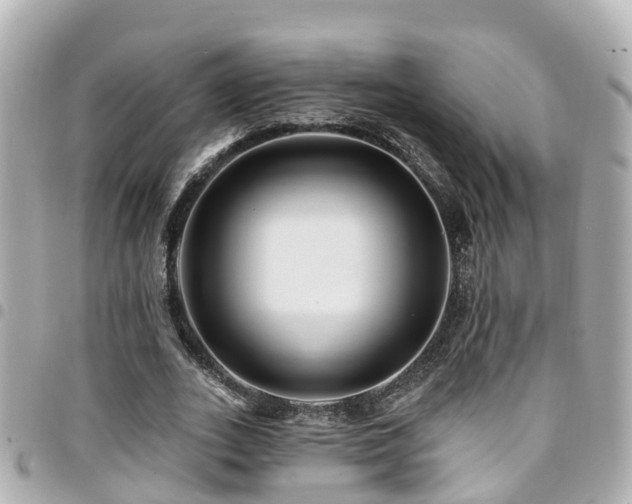 X0000094420727200711081136