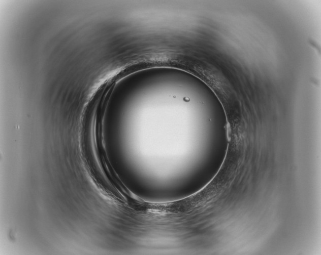 X0000094420728200711081136