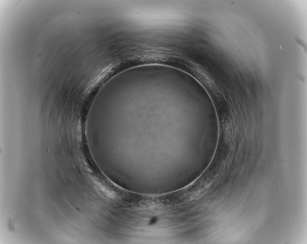 X0000094420729200711081136